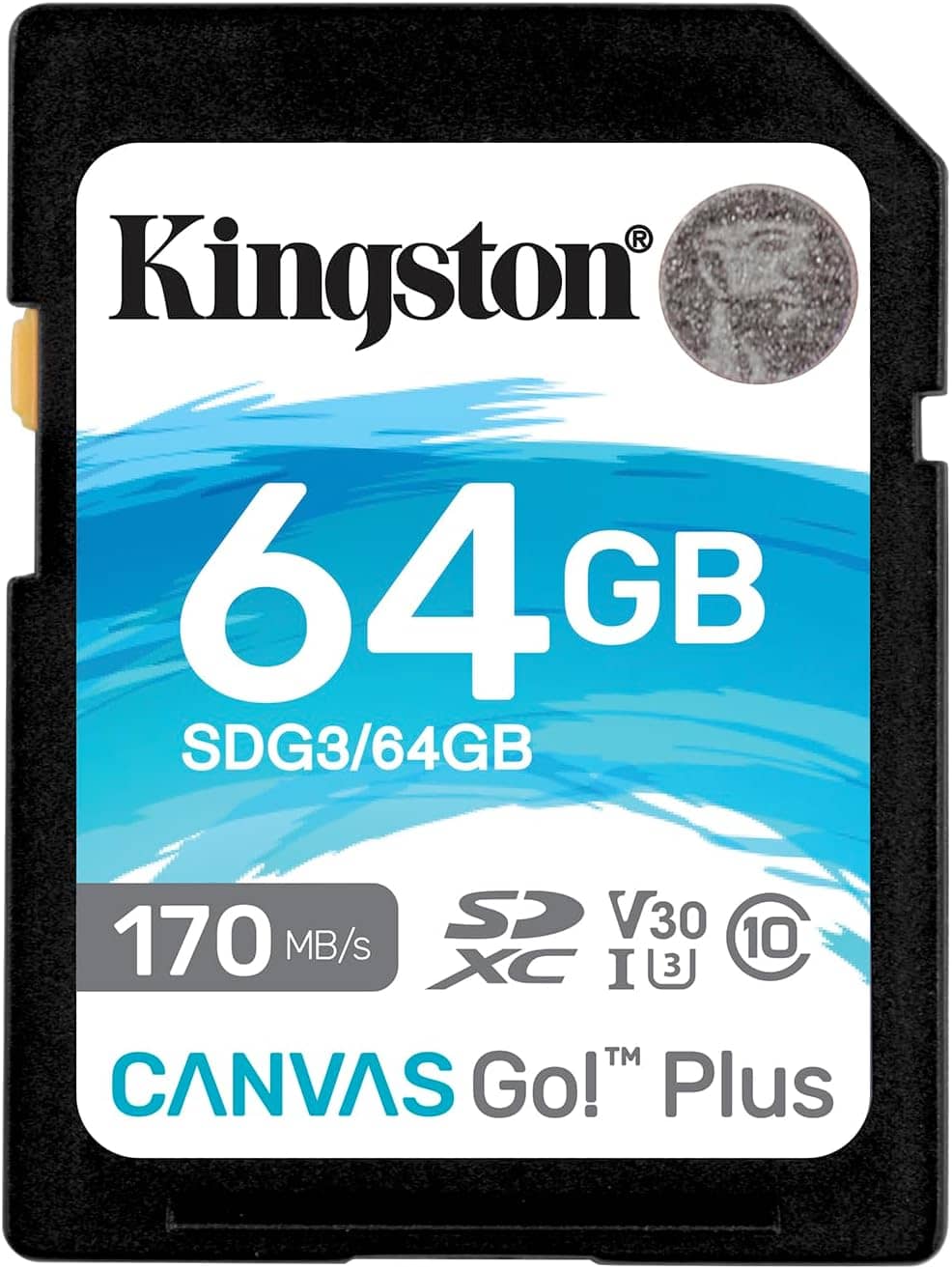 KARTE MEMORIE CANVAS GO PLUS SD SDG3/64GB 170MB