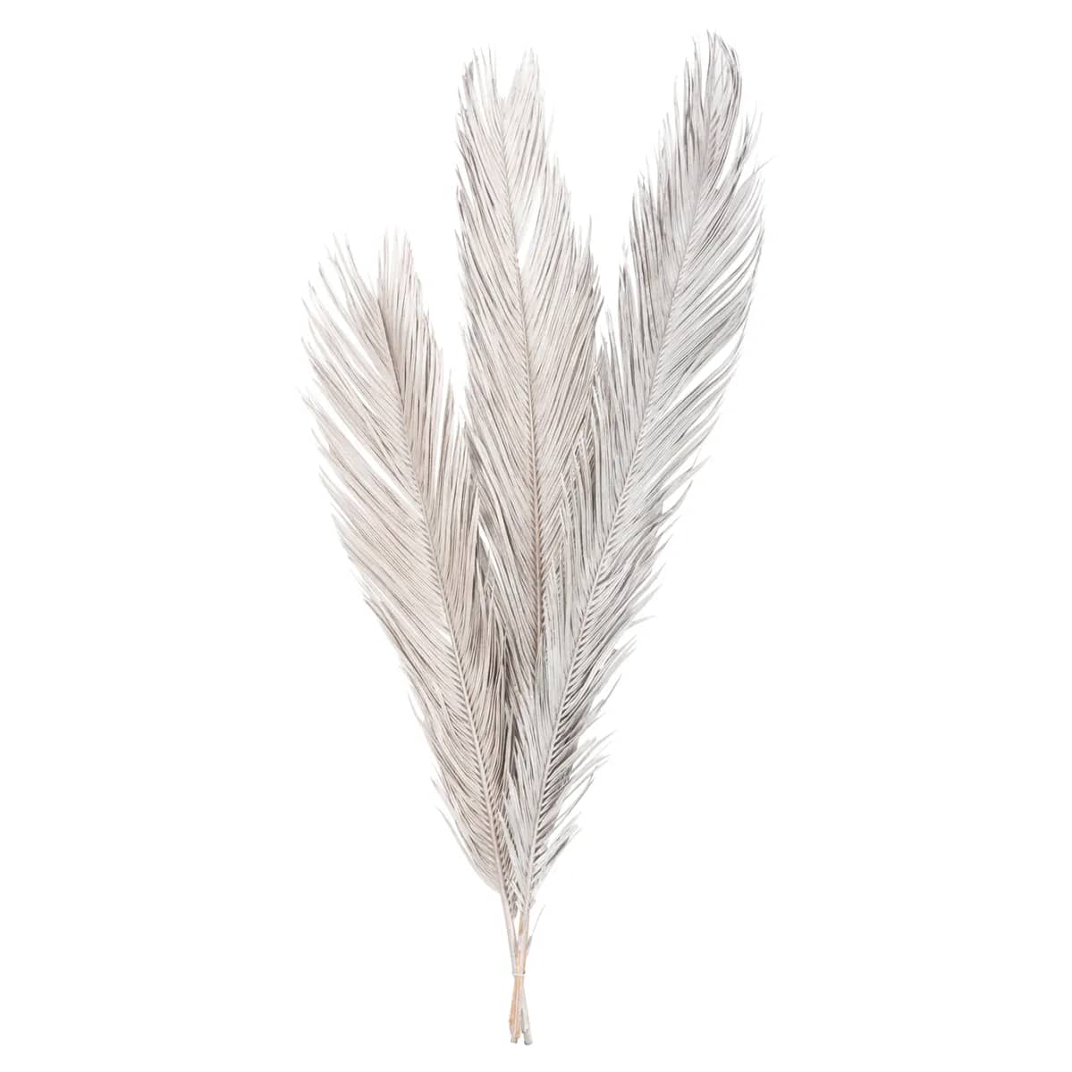 DECORATIVE DRIED 3-LEAF SET OF PALM TREE ΗΜ7957 SILVER 1120Hcm.