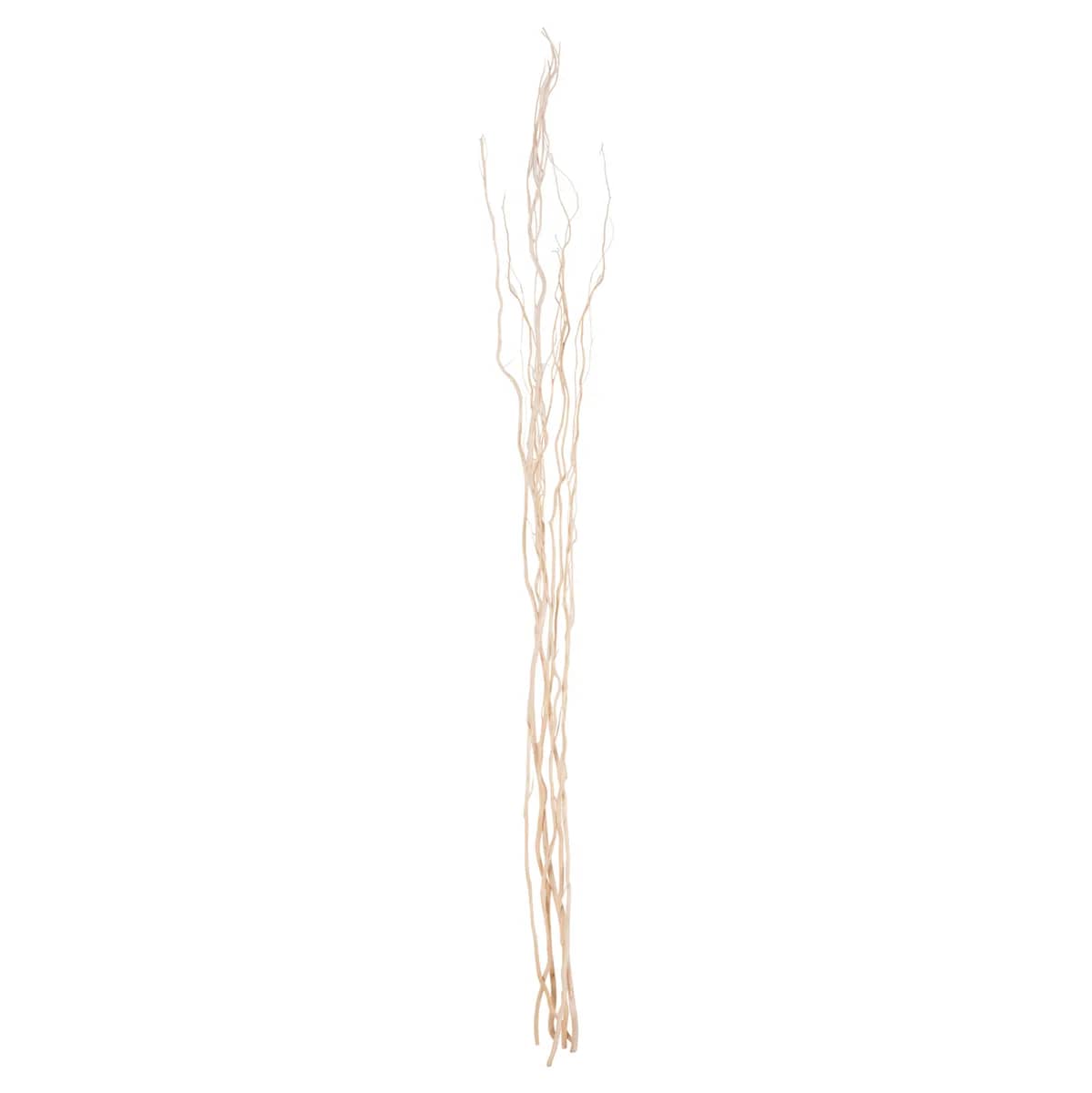 DECORATIVE BOUQUET 5PCS DRIED WILLOW BRANCHES HM7966 CREAM 170Hcm.