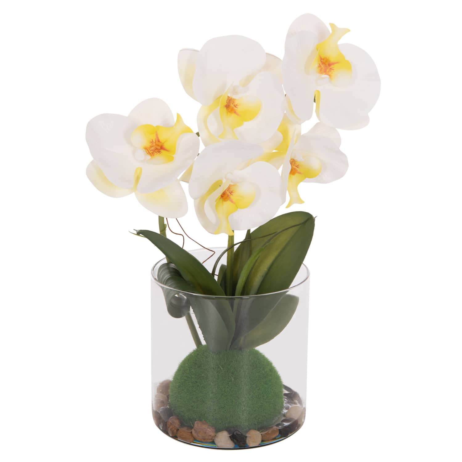 Bimë Dekorative Sintetike HM4738 – Lule Phalaenopsis në Enë Qelqi 12x24x30H cm
